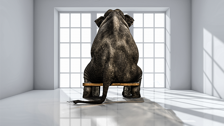 Employee Experience – Are Employees Becoming the Elephants in the Room?
